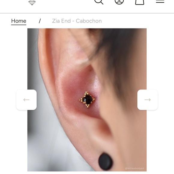 Anatometal “Zia” End 4mm White gold & labradorite - Picture 6 of 7